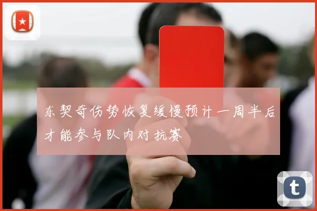 东契奇伤势恢复缓慢预计一周半后才能参与队内对抗赛